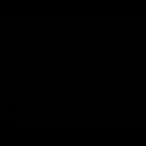 Meet your Posher, Lilian